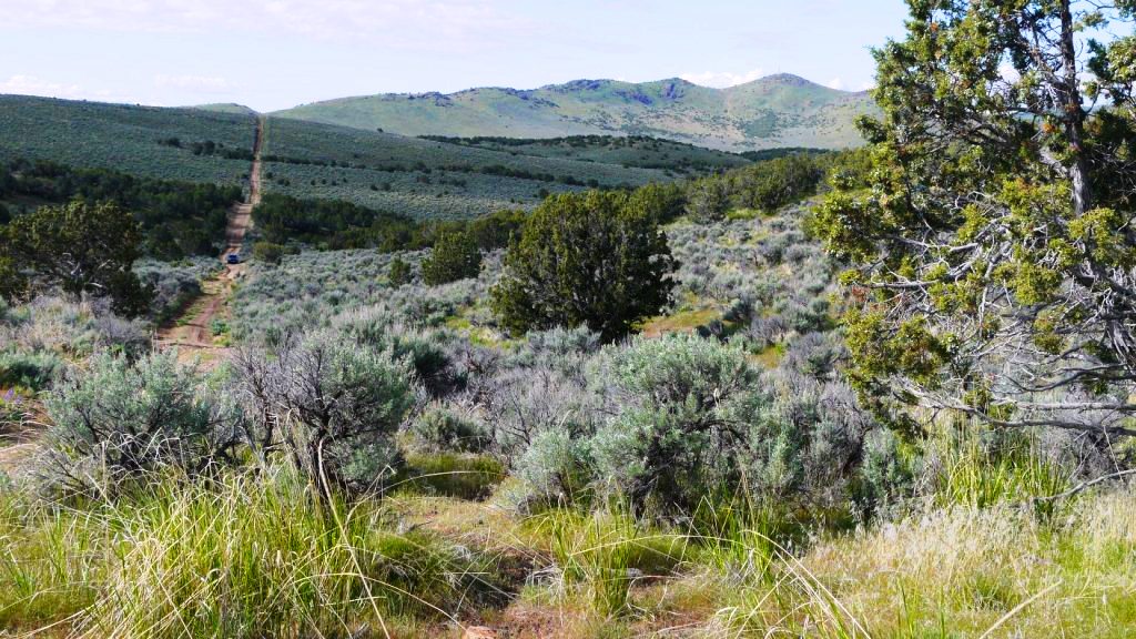 Last Chance Ranch Elko Nevada land for sale